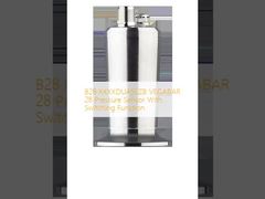 B28.XXXXDUA5SZB VEGABAR 28 交換機能を持つ圧力センサー