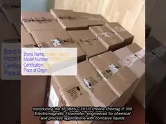 5P3B65-C3V1/0 プロリン プロマグ P 300 電磁流量計 電源 DC 24 V